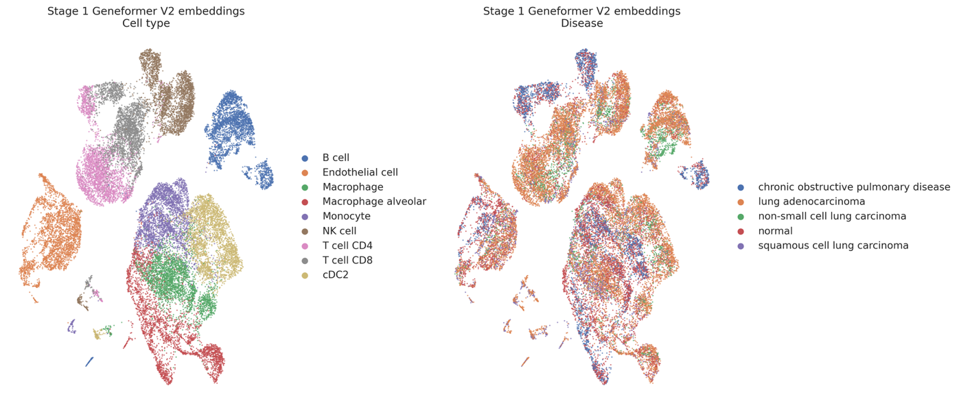Geneformer cell embedding grouped by cell type and disease