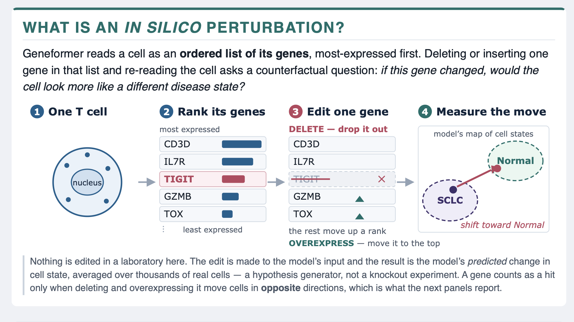 Diagram of Geneformer in silico gene perturbation