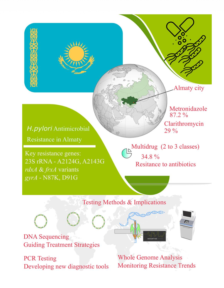Antibiotic resistance results from the Almaty H. pylori study